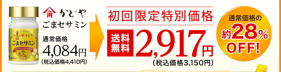 初回限定特別価格2,917円 通常価格の約28％OFF!