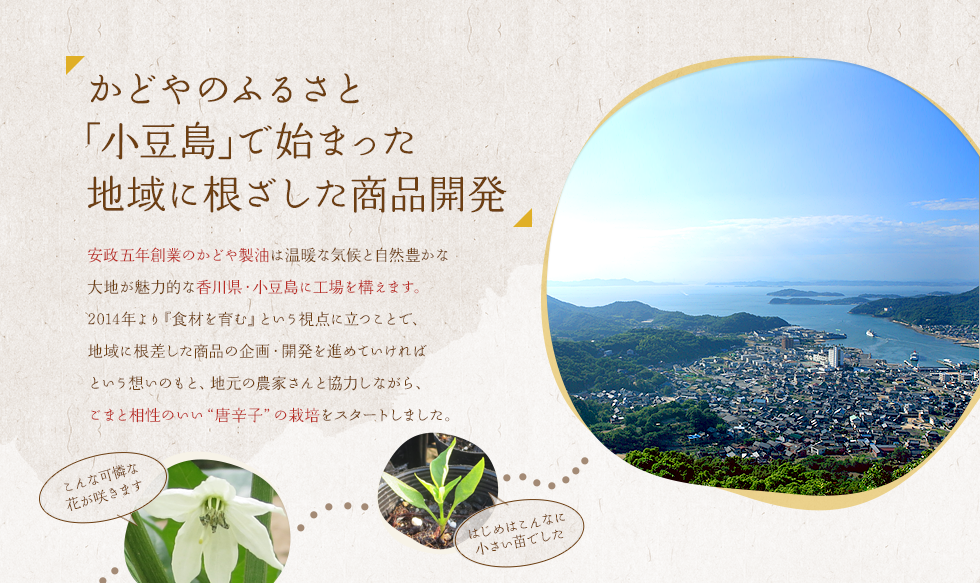 かどやのふるさと「小豆島」で始まった地域に根ざした商品開発