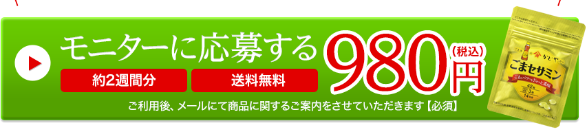 モニターに応募する980円（税込）