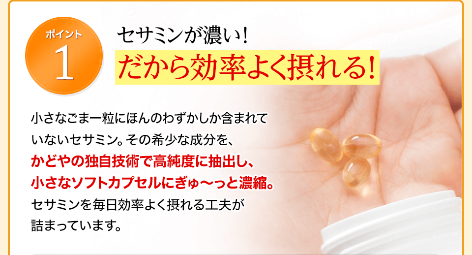 ポイント1　セサミンが濃い！だから効率よく摂れる！