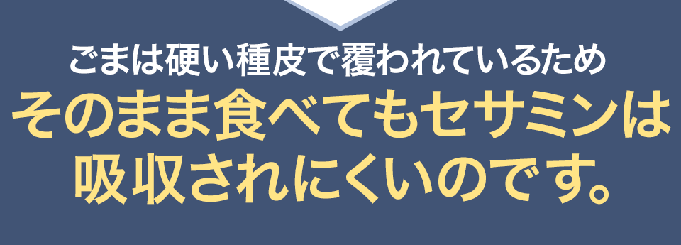 ごまは硬い種皮で覆われているためそのまま食べてもセサミンは吸収されにくいのです。