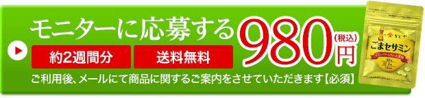 モニターに応募する