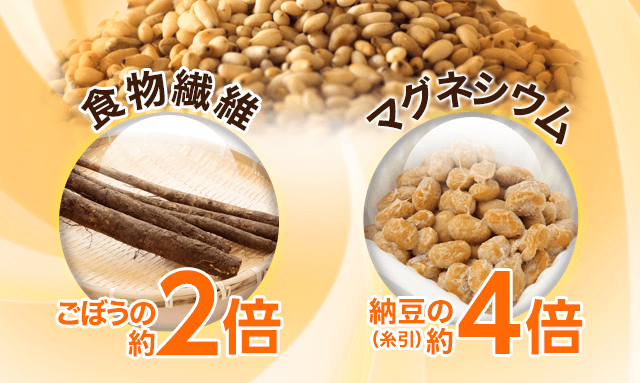 食物繊維,マグネシウム
