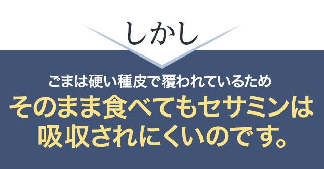 しかしごまは硬い種皮で覆われているためそのまま食べてもセサミンは吸収されにくいのです。