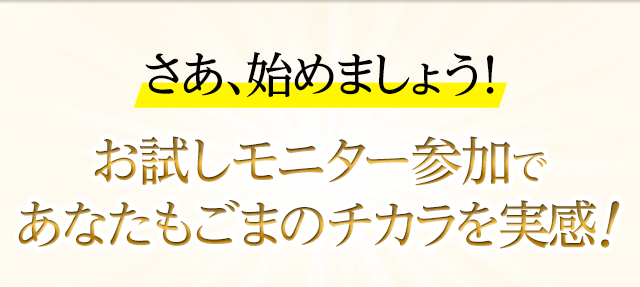 さあ、始めましょう！お試しモニター参加であなたもごまのチカラを実感