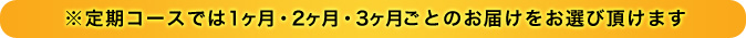 ※定期コースでは1ヶ月・2ヶ月・3ヶ月ごとのお届けをお選び頂けます