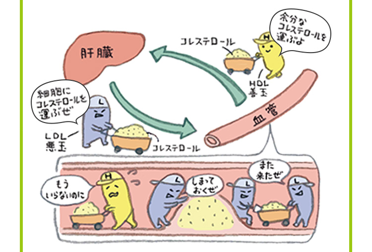 イメージ画像