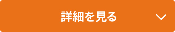 詳細を見る