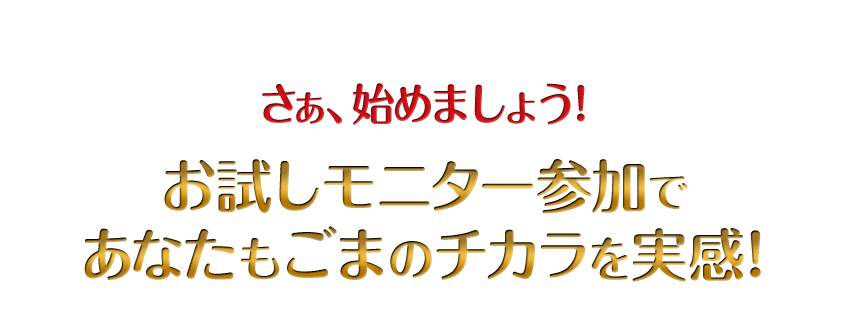 さぁ、始めましょう!お試しモニター参加であなたもごまのチカラを実感！