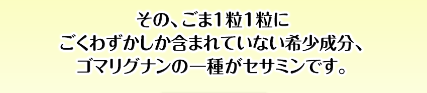 その、ごま1粒1粒にごくわずかしか含まれていない希少成分、ゴマリグナンの一種がセサミンです。